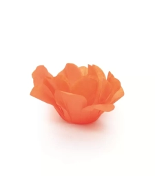 Imagem de capa de Forminha Doce Roses - Laranja C/40